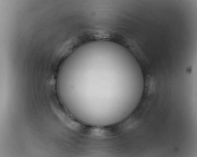 X0000112500614200908241351