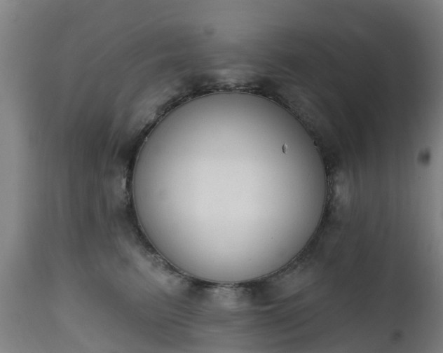 X0000112500615200908241351