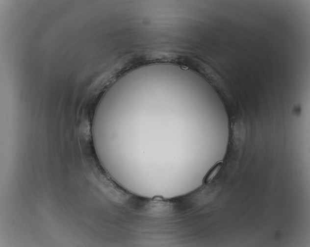 X0000112500617200908241351