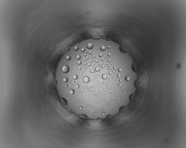 X0000112500618200908241351