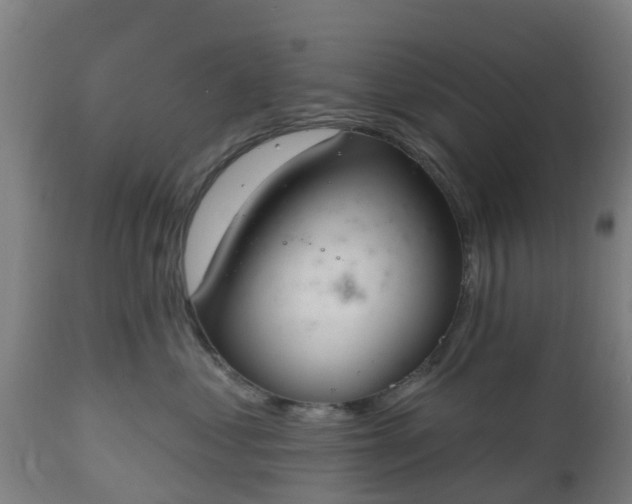 X0000112500621200908241351