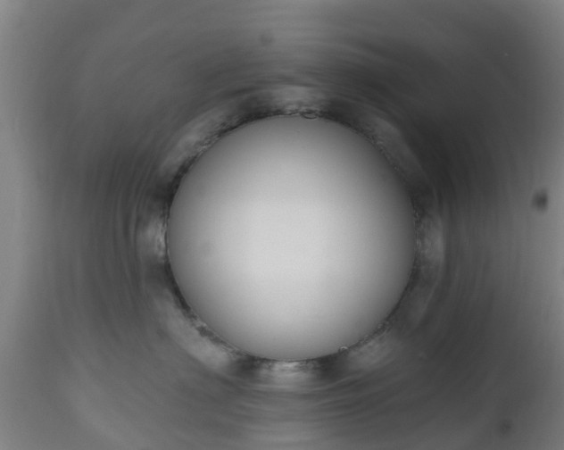 X0000112500622200908241351