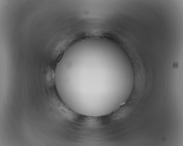 X0000112500624200908241351