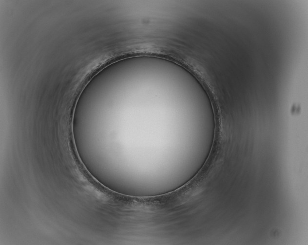 X0000112500625200908241350