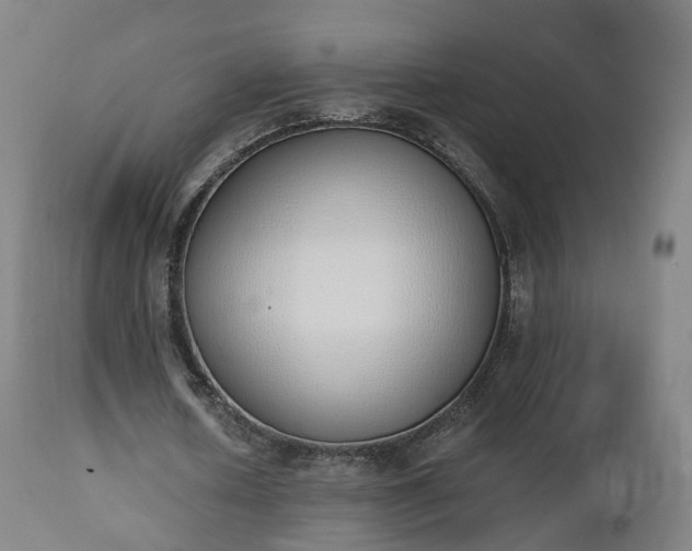 X0000112500626200908241350