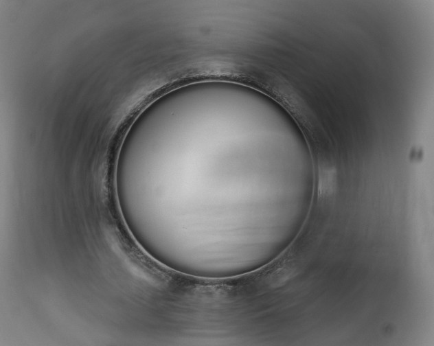 X0000112500627200908241350