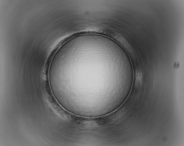 X0000112500628200908241350