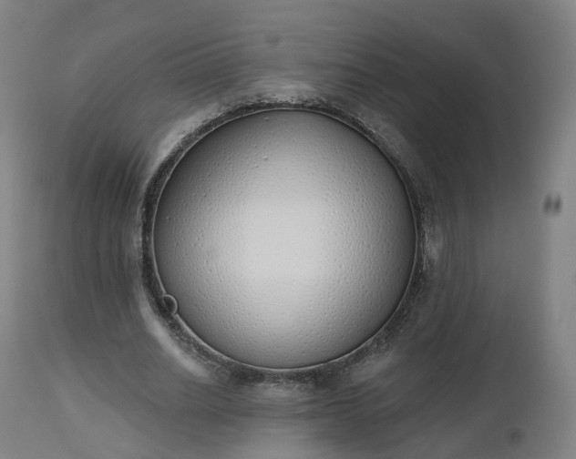 X0000112500630200908241350