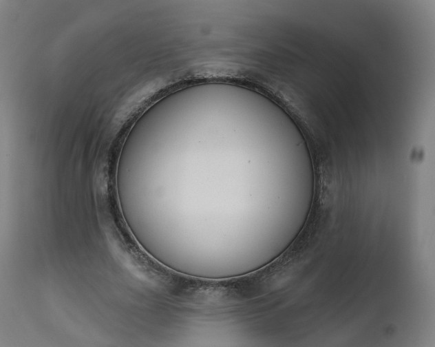 X0000112500631200908241350