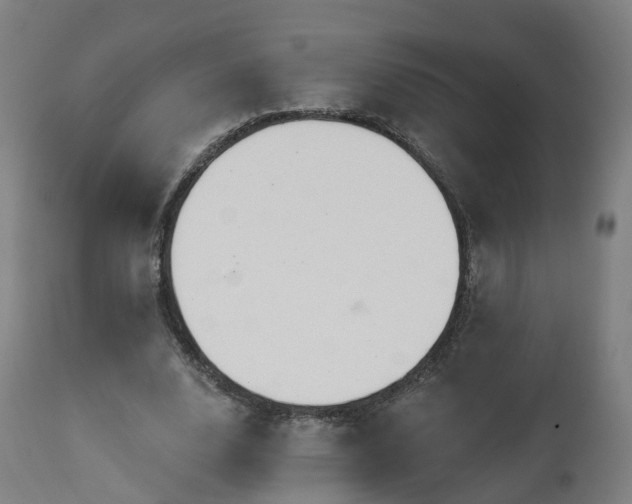 X0000112500632200908241350