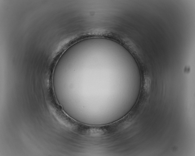 X0000112500636200908241350