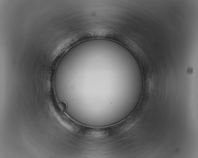 X0000112500638200908241350