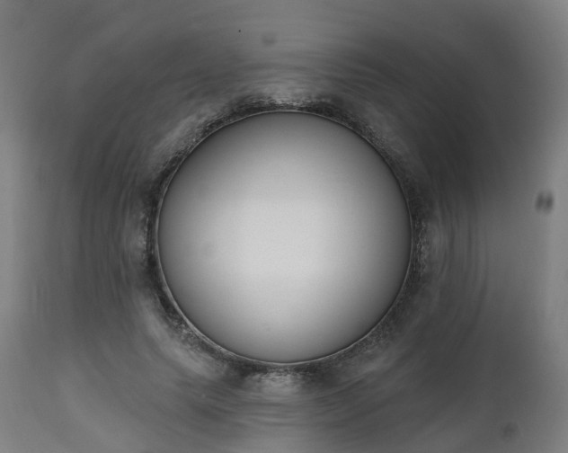 X0000112500639200908241350