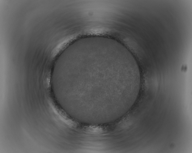 X0000112500640200908241350