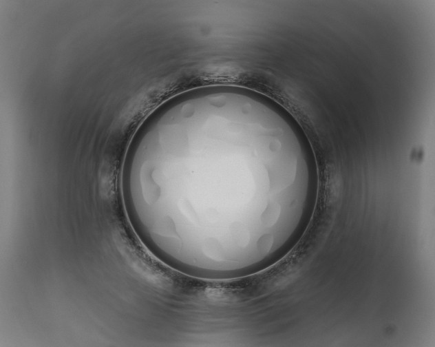 X0000112500641200908241350