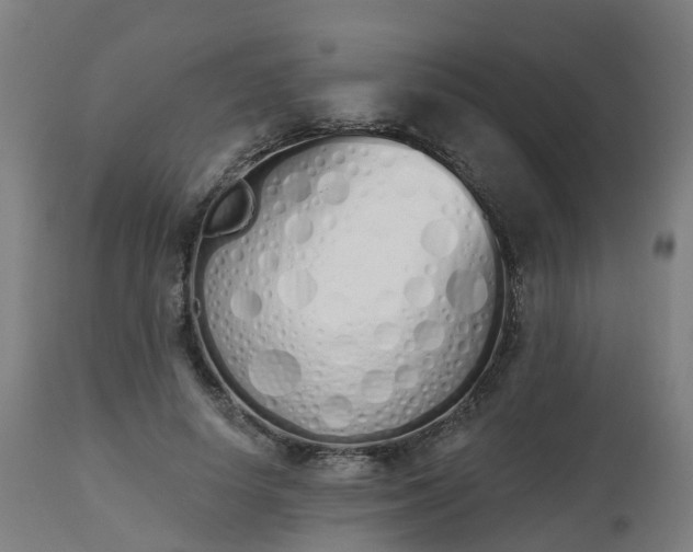 X0000112500642200908241350