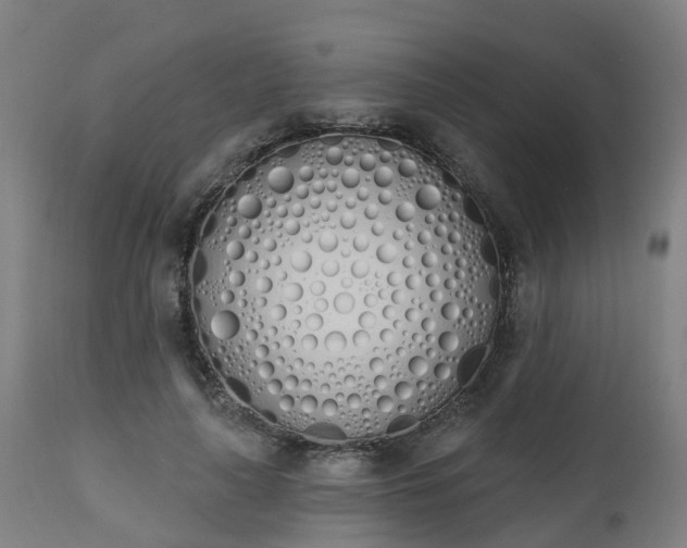 X0000112500643200908241350