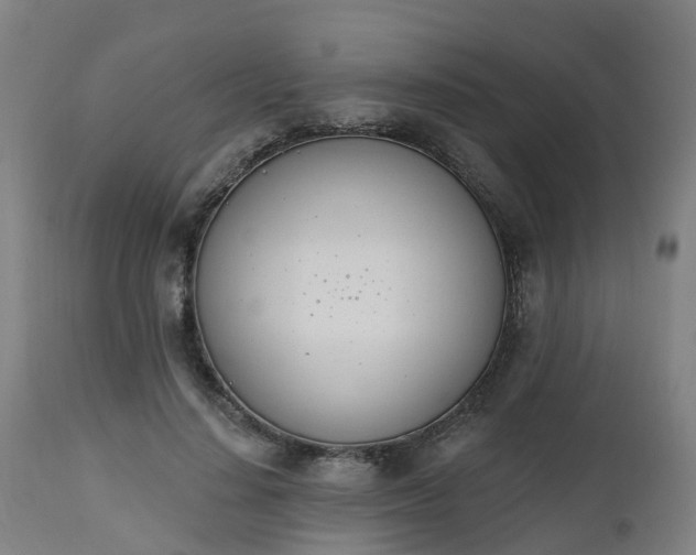 X0000112500644200908241350