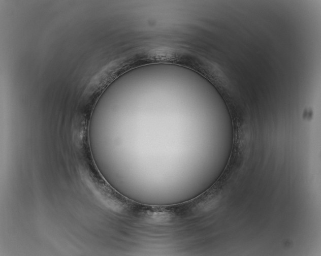 X0000112500645200908241350