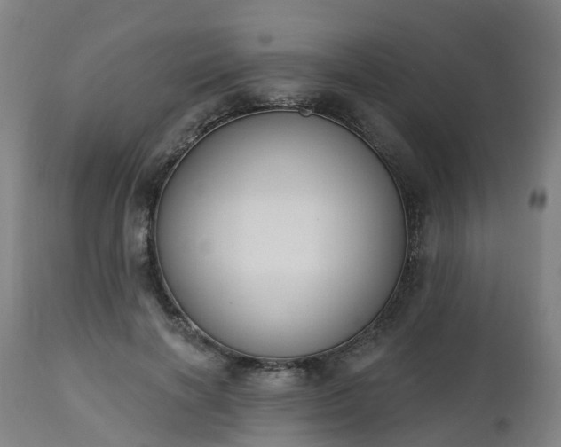 X0000112500646200908241350