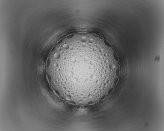 X0000112500647200908241350