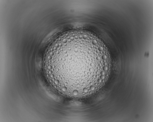 X0000112500648200908241350