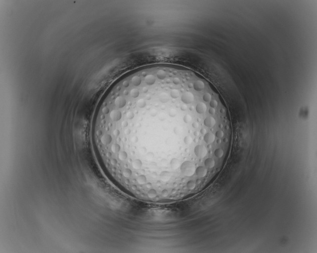 X0000112500650200908241350