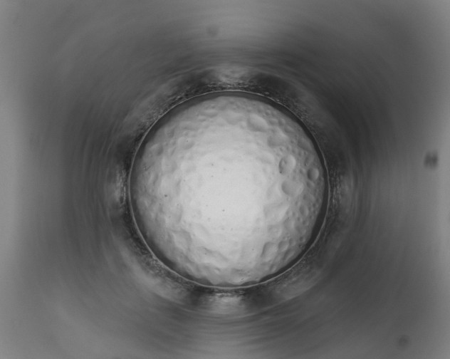 X0000112500651200908241350