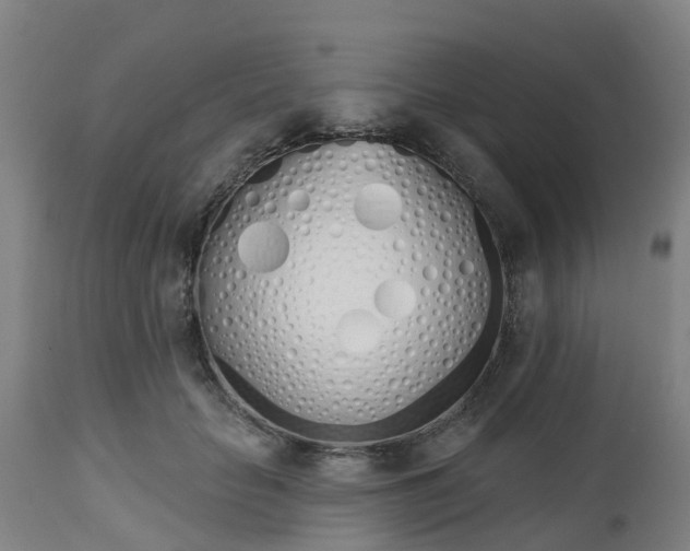 X0000112500653200908241350