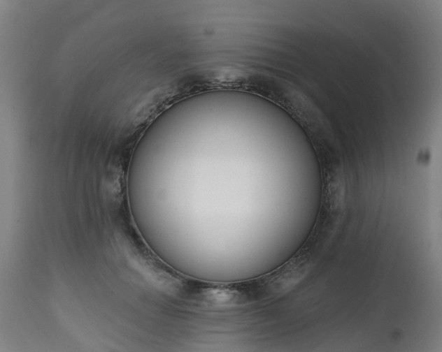 X0000112500654200908241350