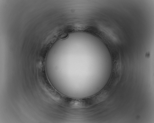 X0000112500655200908241350