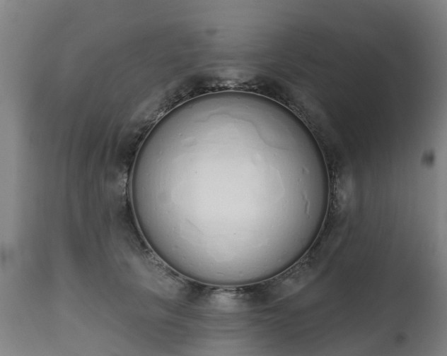 X0000112500657200908241350