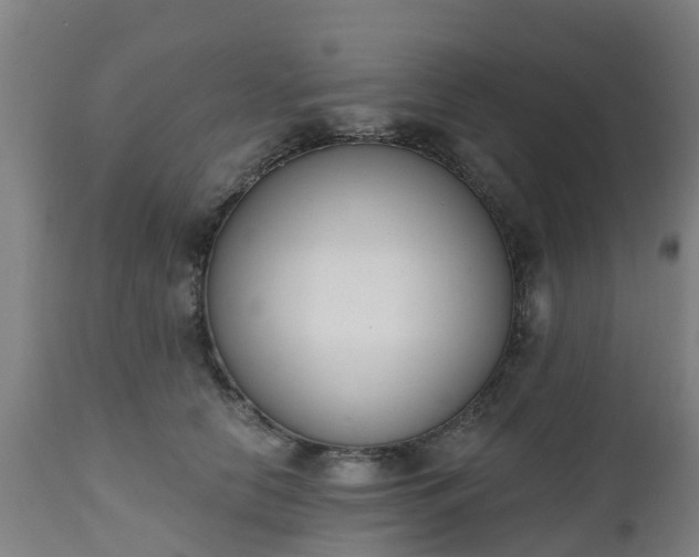 X0000112500658200908241350