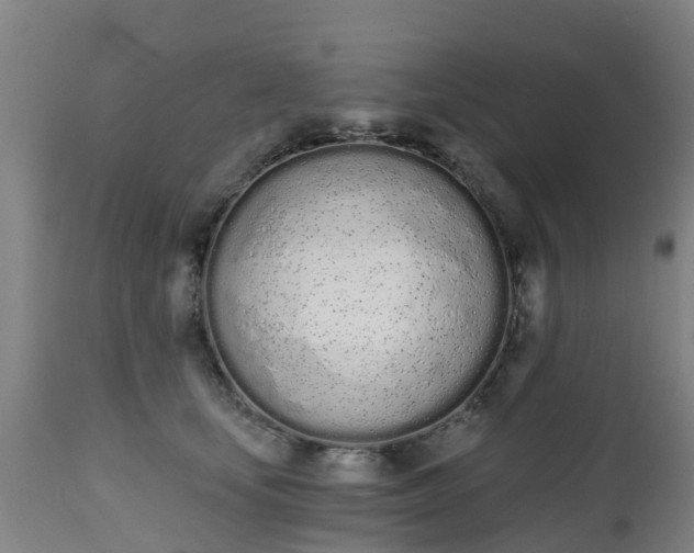 X0000112500659200908241350