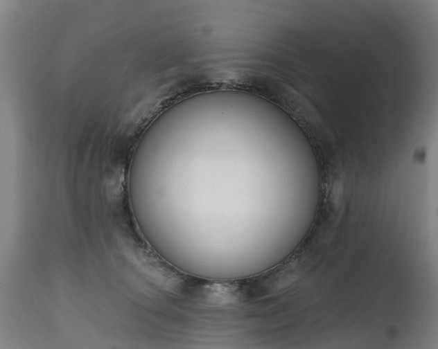 X0000112500660200908241350