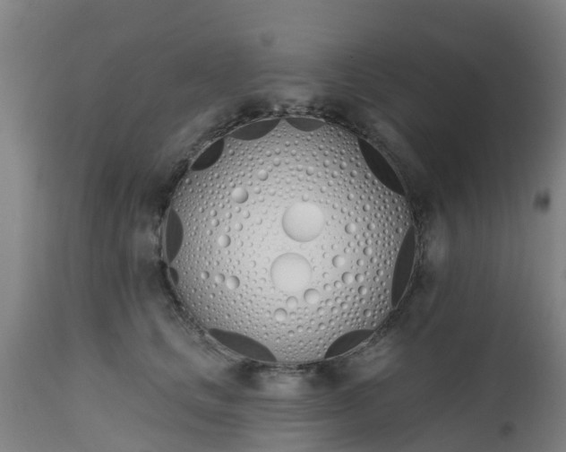 X0000112500661200908241350