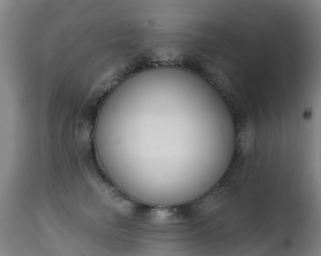 X0000112500662200908241350