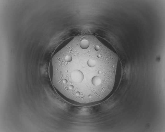 X0000112500663200908241350