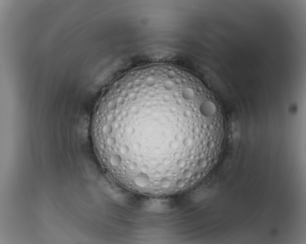 X0000112500664200908241350