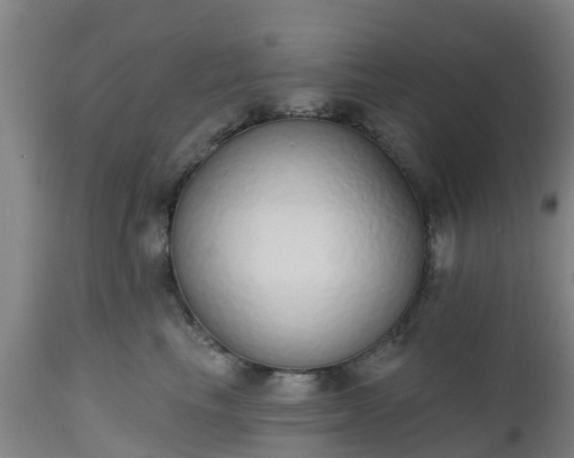 X0000112500665200908241350