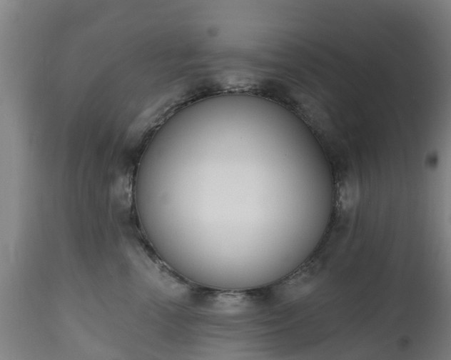 X0000112500666200908241350