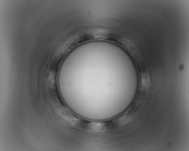 X0000112500667200908241350