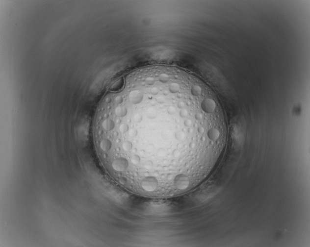 X0000112500668200908241351