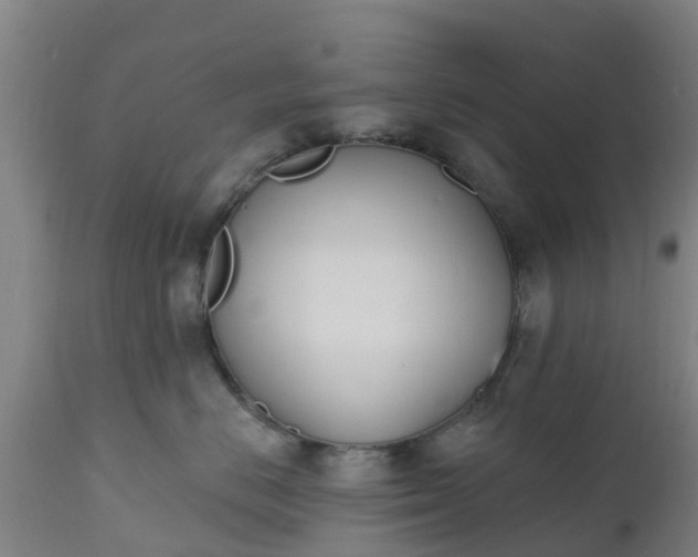 X0000112500670200908241351