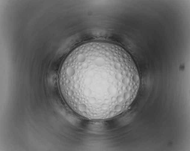 X0000112500671200908241351