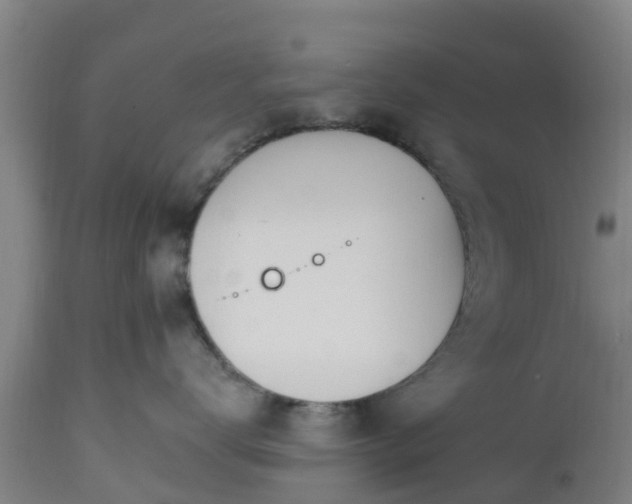 X0000112500672200908241351