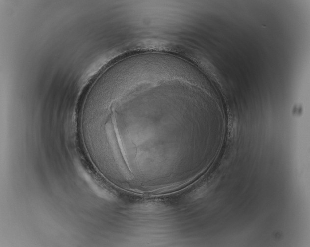 X0000112500674200908241350