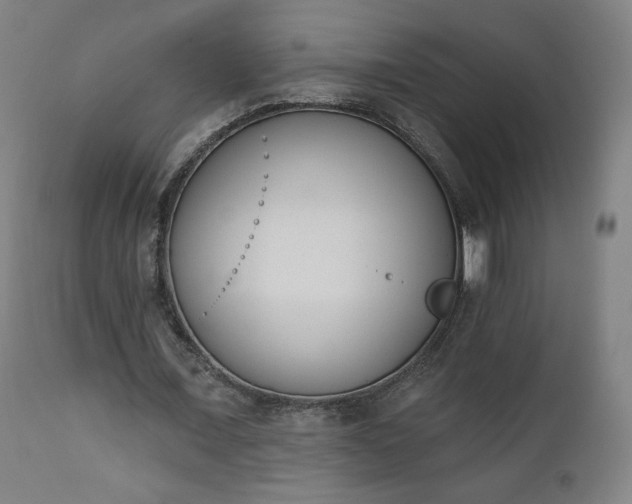 X0000112500675200908241350