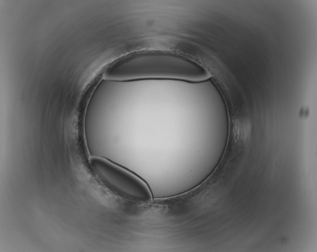 X0000112500676200908241350