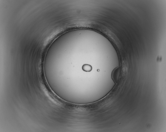 X0000112500677200908241350